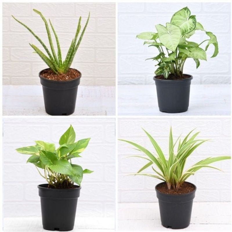 Utg Holster Le Vertical – Shoulder Holster Black