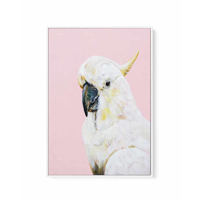 White Cockatoo I by Heylie Morris | Framed Canvas Art Print