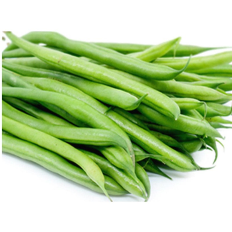 World Cup Bush Beans – Bulk Vegetable Seeds