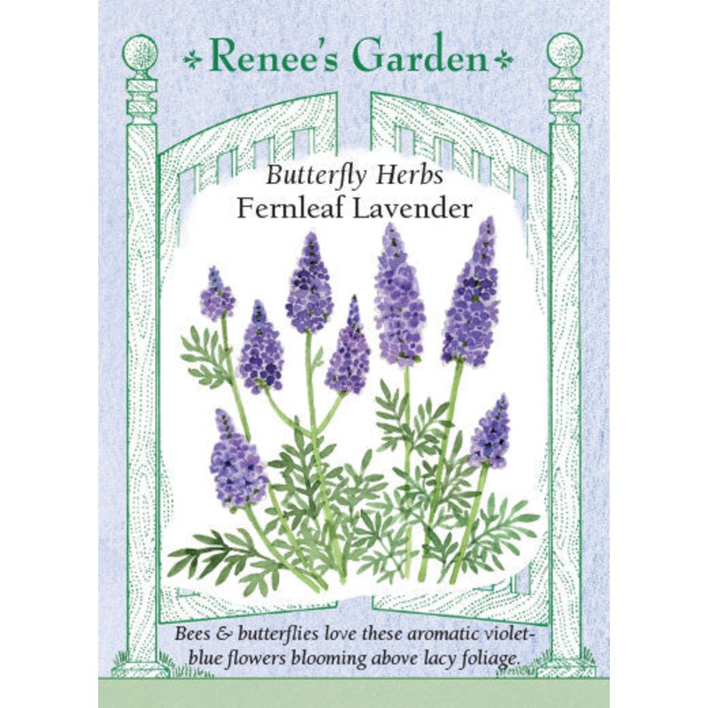 Zinnia Zinderella Lilac – West Coast Seeds