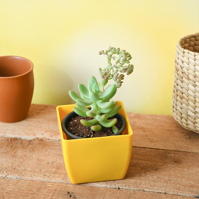 Sweet Bamboo Sleep Sack – Oatmeal Ribbed