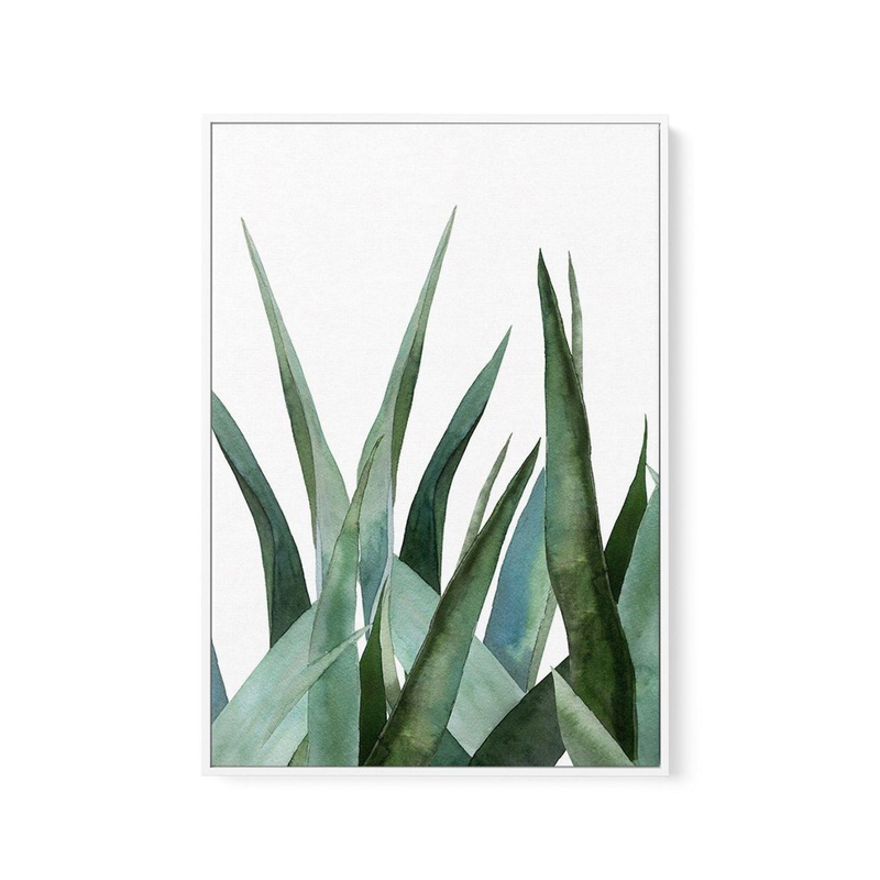 Agave in Watercolour | Framed Canvas Art Print