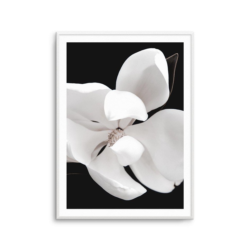 Dark Magnolia II | PT Art Print