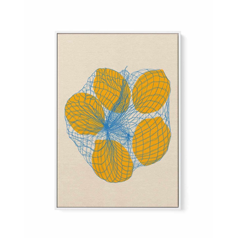 Five Lemons In a Net Bag by Rosi Feist | Framed Canvas Art Print