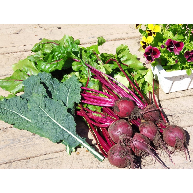 Bean Flambo – Saanich Organics