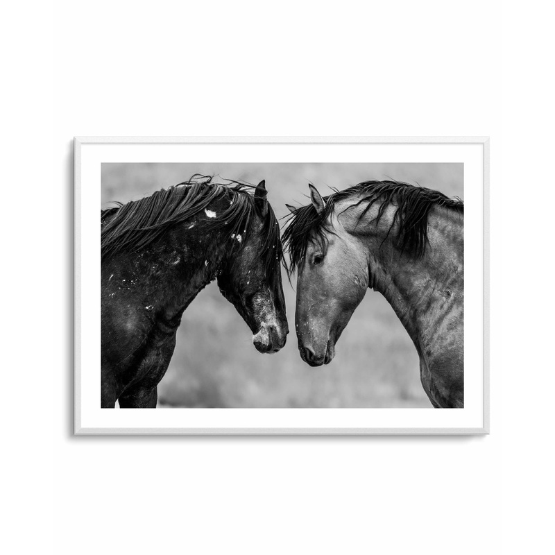 Secrets by Rylee Olsen | Art Print