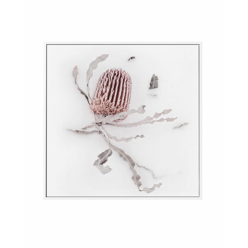 Banksia III | Framed Canvas Art Print
