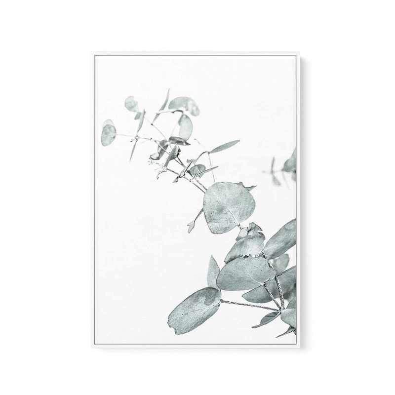 Eucalyptus Leaves II | Framed Canvas Art Print