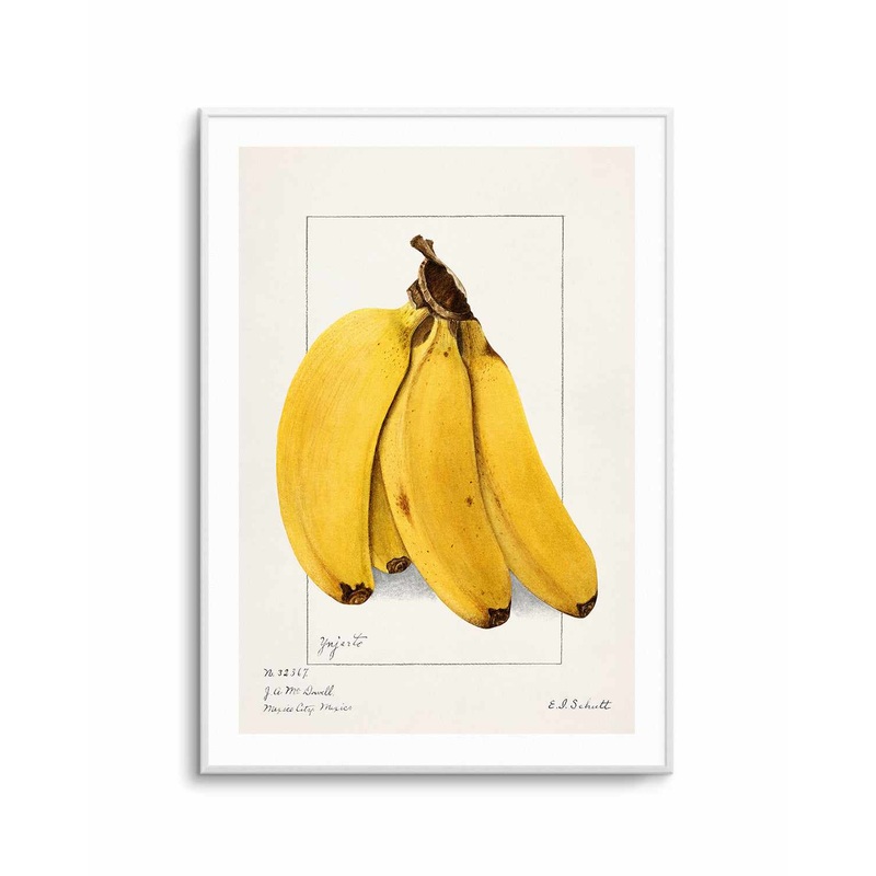 Bananas Vintage Poster Art Print