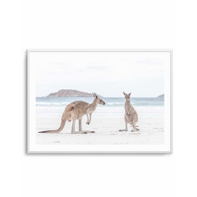 Coastal Beach Kangaroo III Art Print