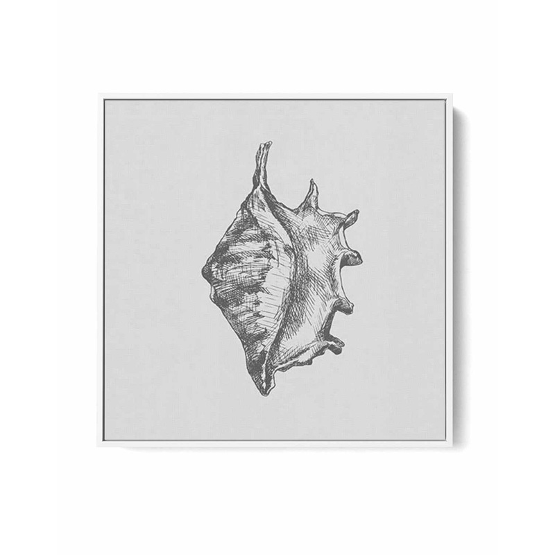 Seashell | Conch SQ | Framed Canvas Art Print