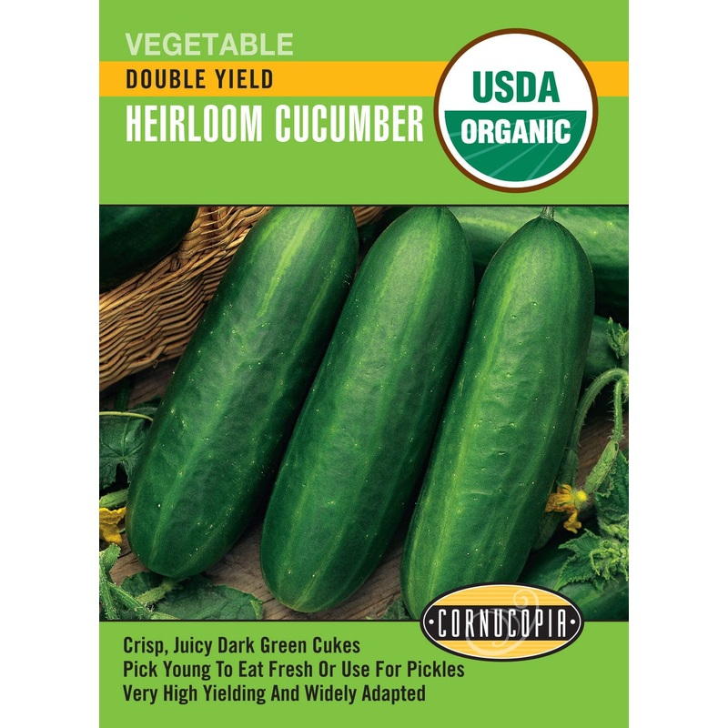 Tulip – Bleu Aimable, 6 Pack