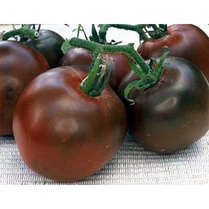 Black Prince Tomato – Bulk Vegetable Seeds – 200 seeds