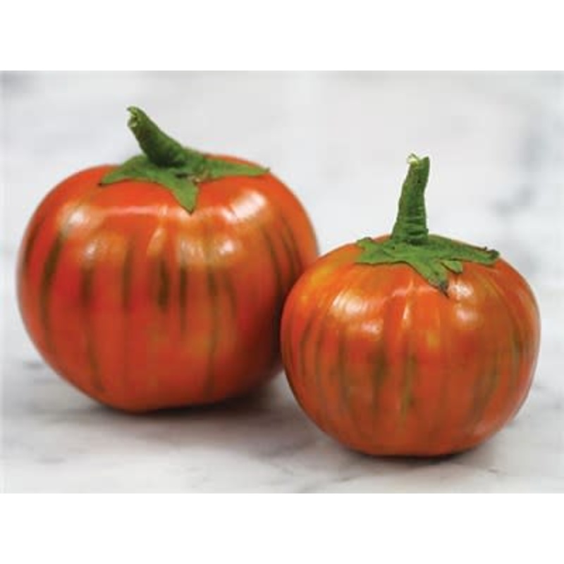 Turkish OrangeEggplant – Heirloom Vegetable – Solanum melongena – 10 Seeds