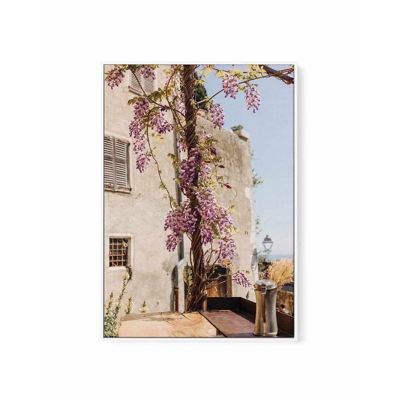 Wisteria Provence I by Jovani Demetrie | Framed Canvas Art Print