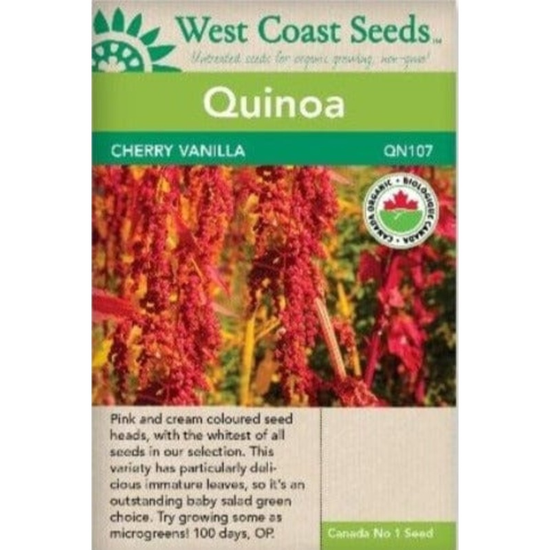 Squash Butternut Victory – West Coast Seeds