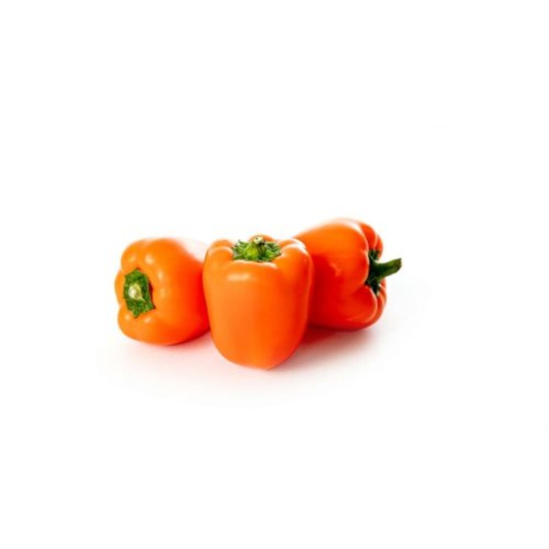 Tinkerbell baby block sweet pepper orange F1  – Vegetable – Capsicum annuum – 5 Seeds