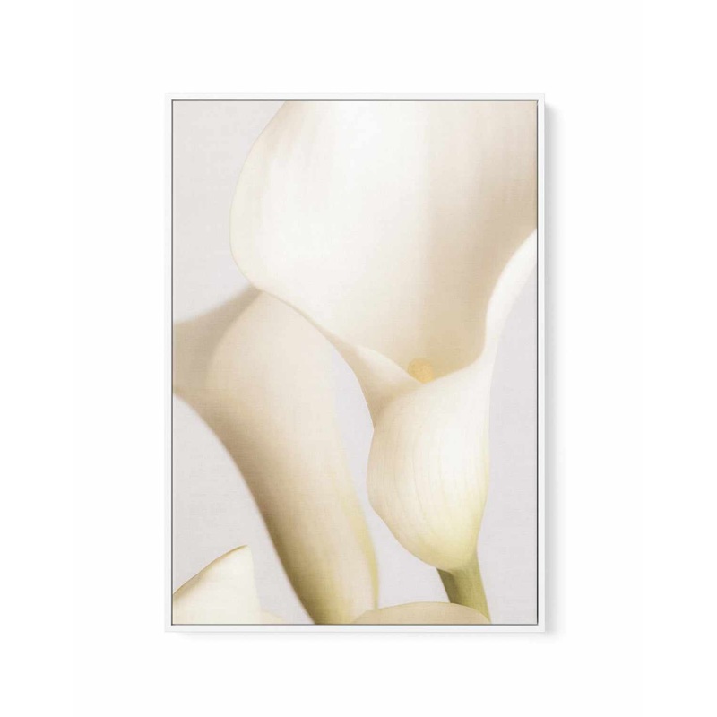 White Calla Lily No 2 By Studio III | Framed Canvas Art Print