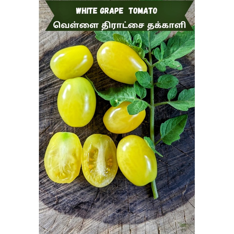 Tomato White Grape Seeds