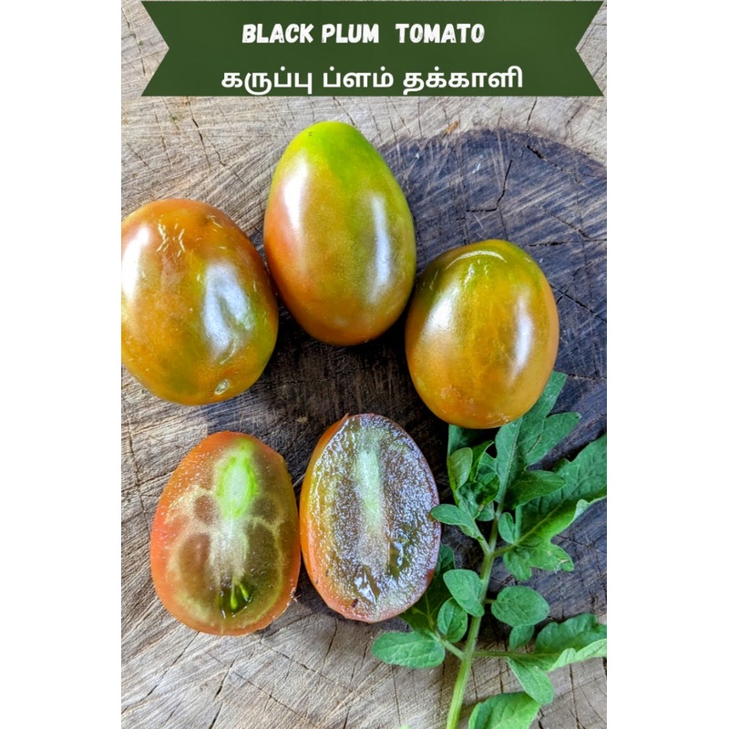 Tomato Black Plum Seeds