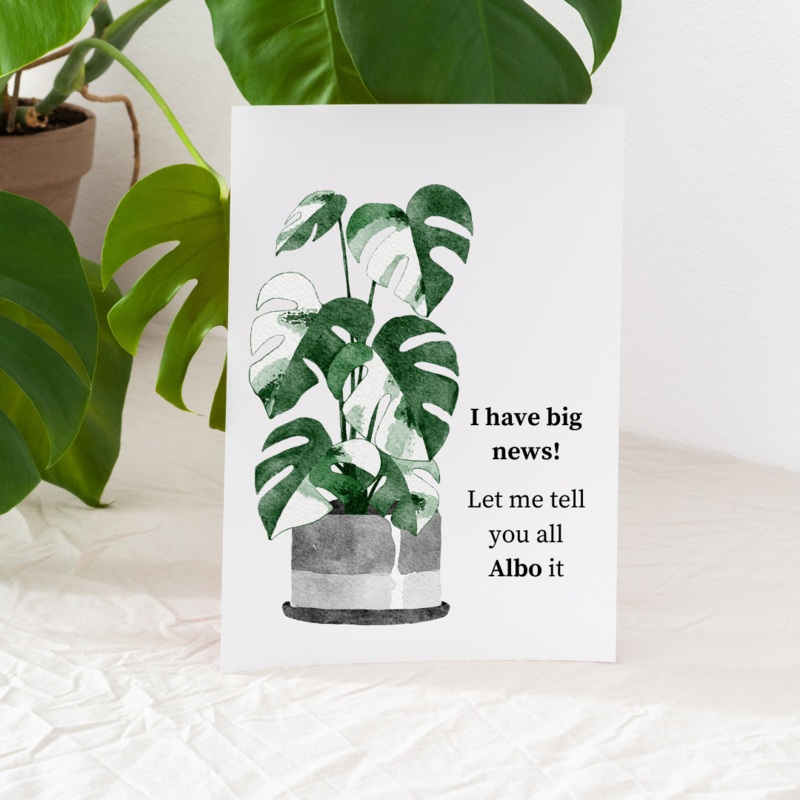I Have Big News Let me Tell you Albo It – Blank Greeting Card