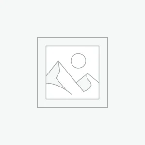 Bunny Ears Cactus – Opuntia microdasys – 1L / 14cm / Small